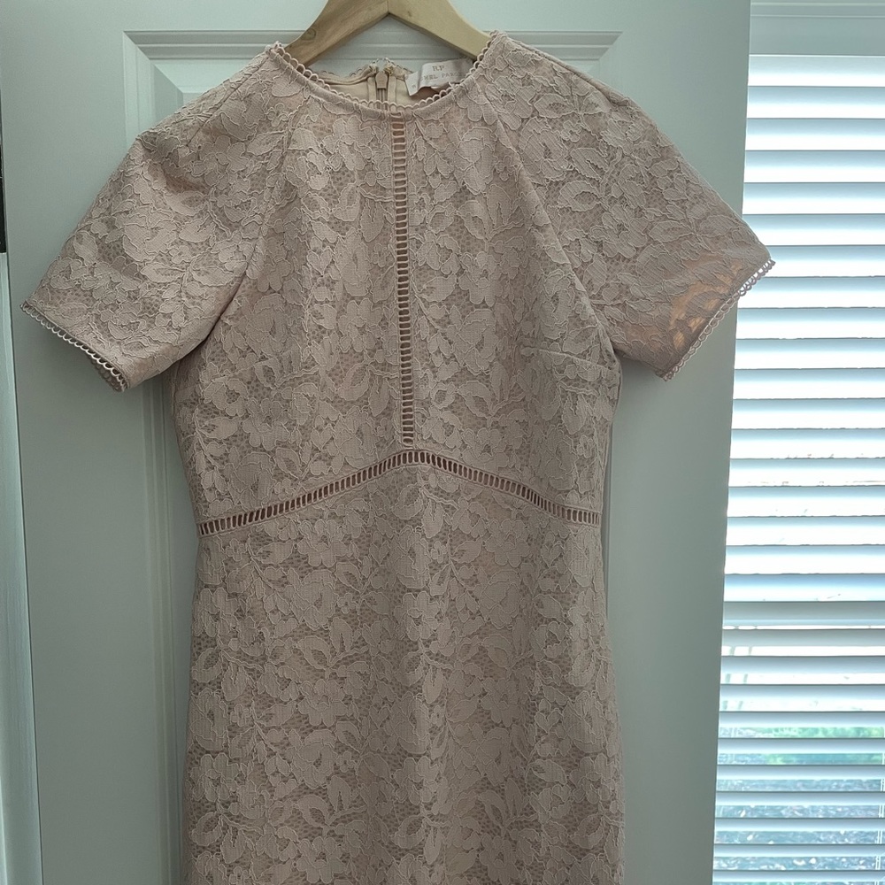 Rachel Parcell Dress